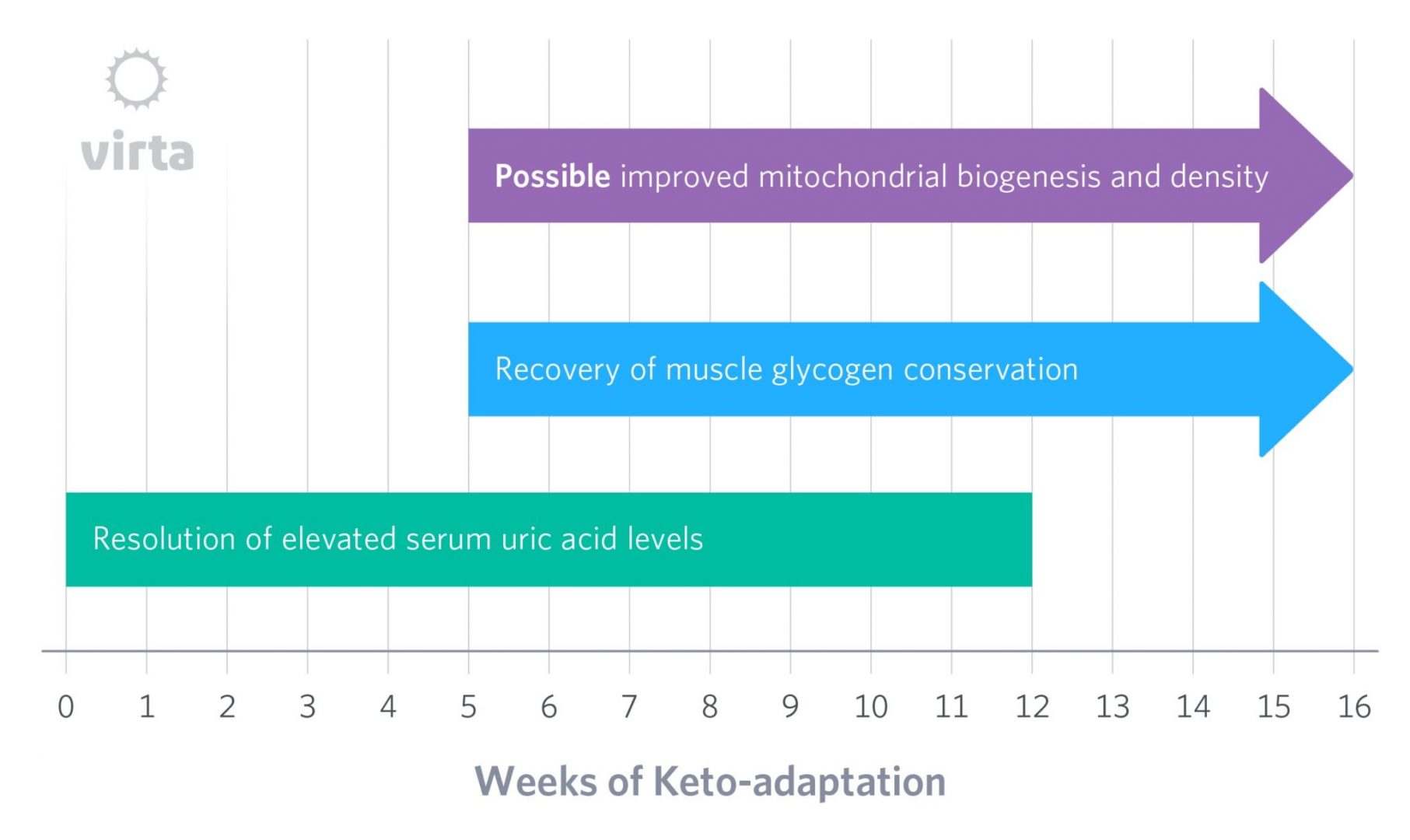 Keto Transition 